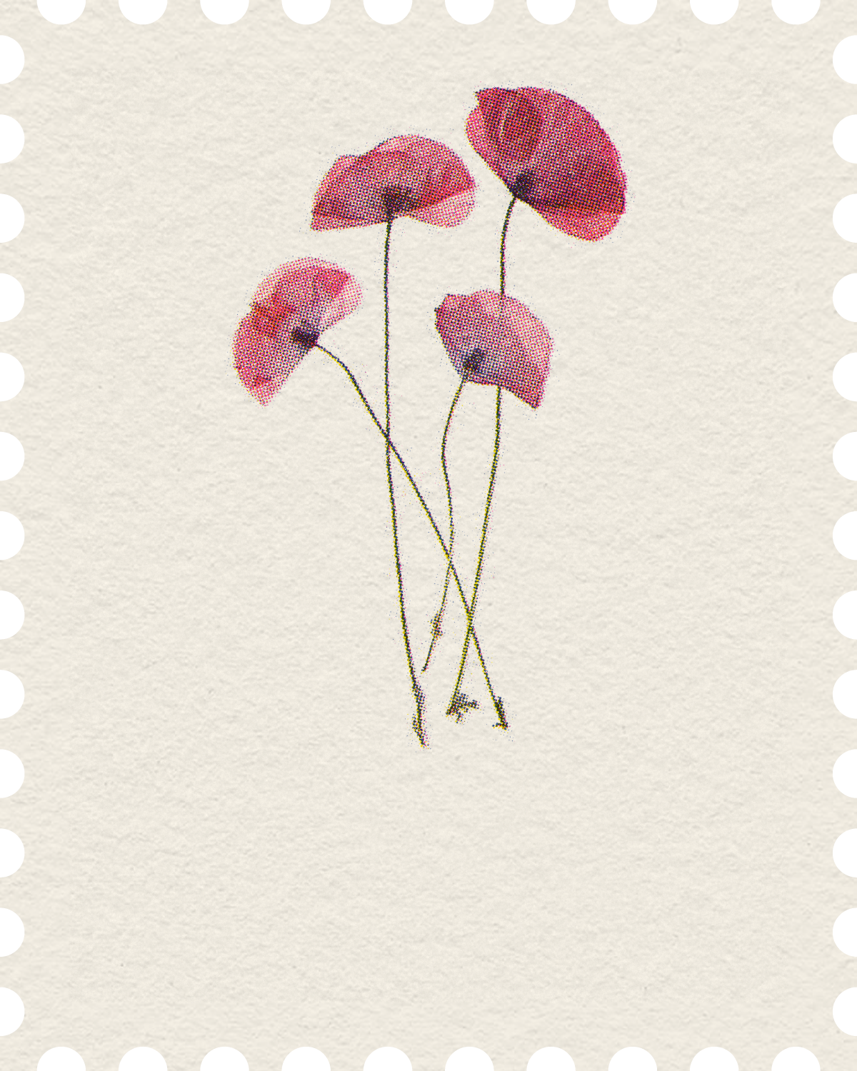 Postage stamp of four pressed poppies on cream paper